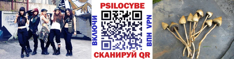 Купить  Сычёвка  Псилоцибиновые грибы GOLDEN TEACHER 